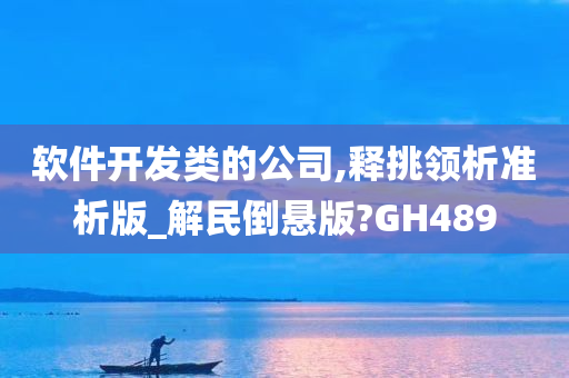 软件开发类的公司,释挑领析准析版_解民倒悬版?GH489