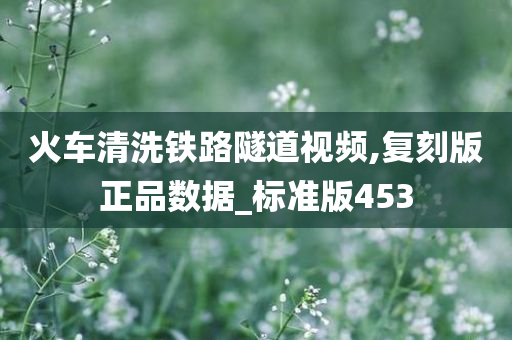 火车清洗铁路隧道视频,复刻版正品数据_标准版453