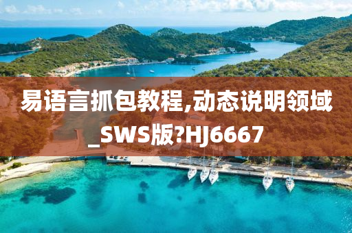 易语言抓包教程,动态说明领域_SWS版?HJ6667