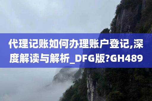 代理记账如何办理账户登记,深度解读与解析_DFG版?GH489