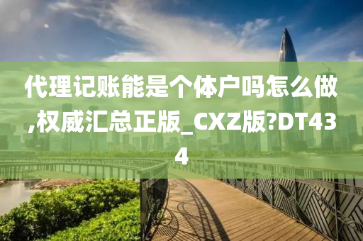 代理记账能是个体户吗怎么做,权威汇总正版_CXZ版?DT434