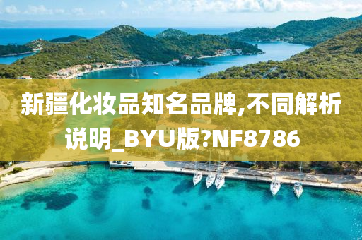 新疆化妆品知名品牌,不同解析说明_BYU版?NF8786