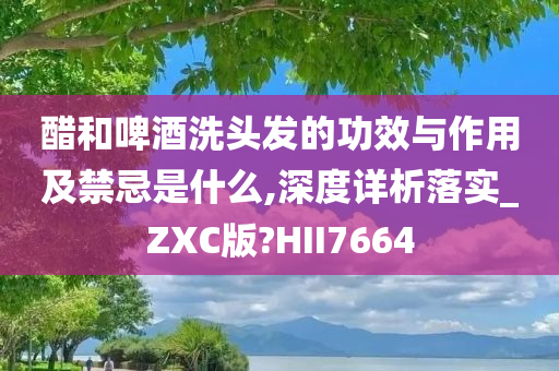 醋和啤酒洗头发的功效与作用及禁忌是什么,深度详析落实_ZXC版?HII7664