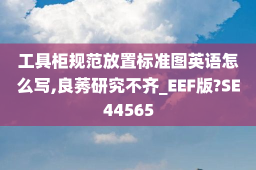 工具柜规范放置标准图英语怎么写,良莠研究不齐_EEF版?SE44565