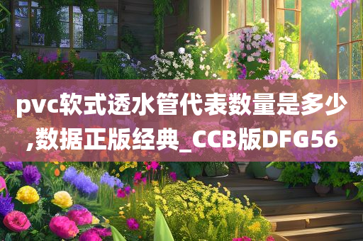 pvc软式透水管代表数量是多少,数据正版经典_CCB版DFG56