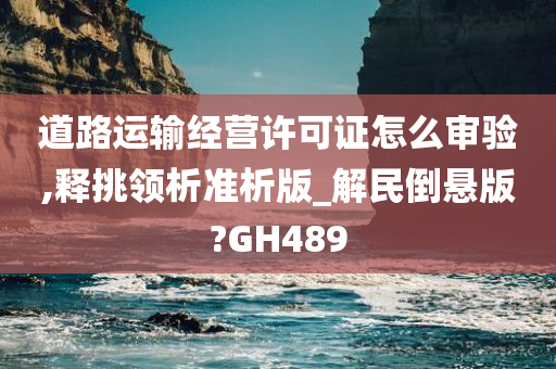 道路运输经营许可证怎么审验,释挑领析准析版_解民倒悬版?GH489