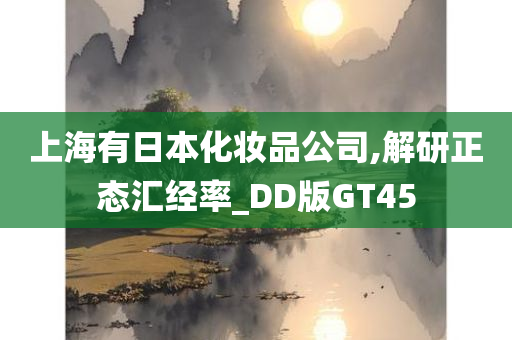 上海有日本化妆品公司,解研正态汇经率_DD版GT45