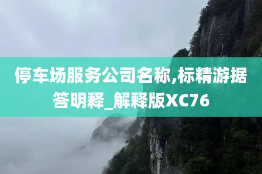 停车场服务公司名称,标精游据答明释_解释版XC76