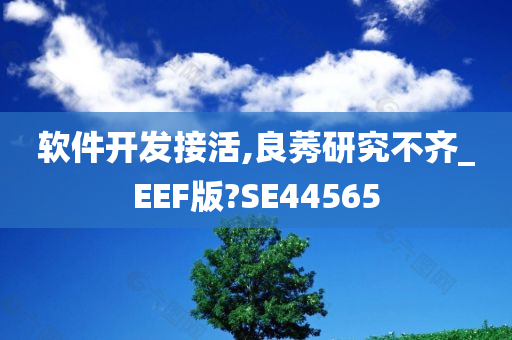 软件开发接活,良莠研究不齐_EEF版?SE44565