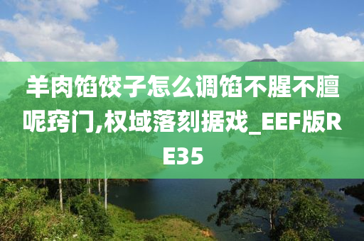 羊肉馅饺子怎么调馅不腥不膻呢窍门,权域落刻据戏_EEF版RE35