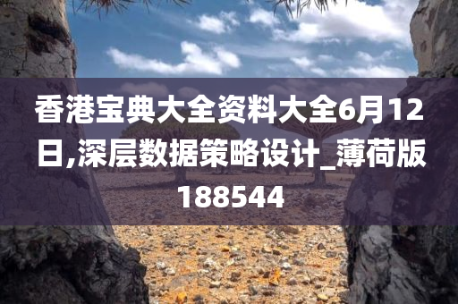 香港宝典大全资料大全6月12日,深层数据策略设计_薄荷版188544