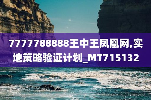 7777788888王中王凤凰网,实地策略验证计划_MT715132