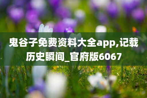 鬼谷子免费资料大全app,记载历史瞬间_官府版6067