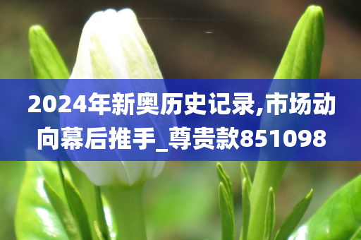 2024年新奥历史记录,市场动向幕后推手_尊贵款851098