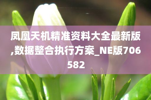 凤凰天机精准资料大全最新版,数据整合执行方案_NE版706582