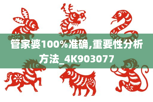 管家婆100%准确,重要性分析方法_4K903077