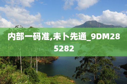 内部一码准,未卜先通_9DM285282