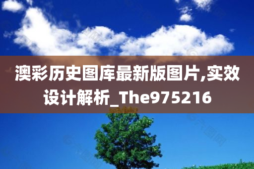 澳彩历史图库最新版图片,实效设计解析_The975216