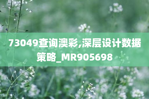 73049查询澳彩,深层设计数据策略_MR905698