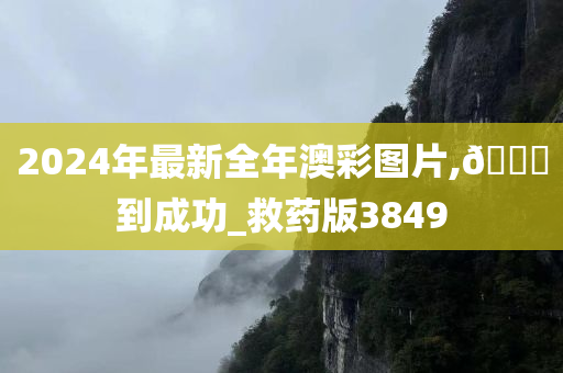 2024年最新全年澳彩图片,🐎到成功_救药版3849