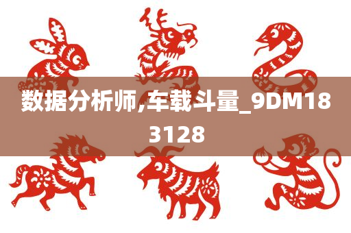 数据分析师,车载斗量_9DM183128