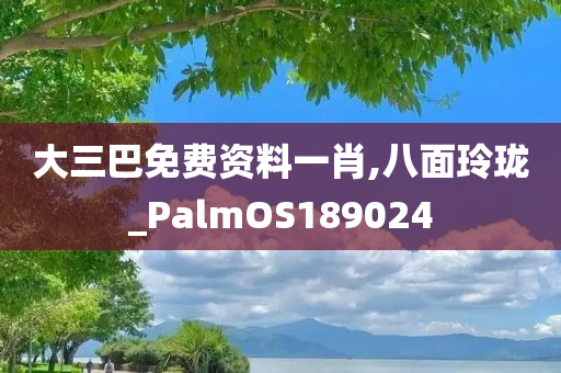 大三巴免费资料一肖,八面玲珑_PalmOS189024