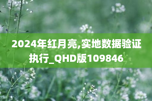 2024年红月亮,实地数据验证执行_QHD版109846