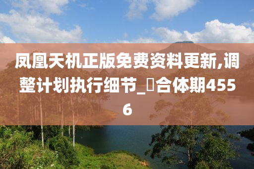 凤凰天机正版免费资料更新,调整计划执行细节_‌合体期4556