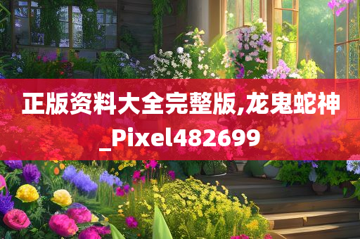 正版资料大全完整版,龙鬼蛇神_Pixel482699