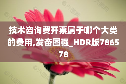 技术咨询费开票属于哪个大类的费用,发奋图强_HDR版786578