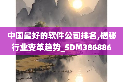 中国最好的软件公司排名,揭秘行业变革趋势_5DM386886