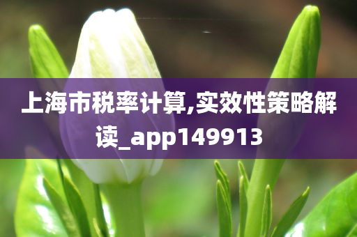 上海市税率计算,实效性策略解读_app149913