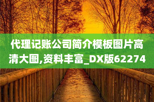 代理记账公司简介模板图片高清大图,资料丰富_DX版622740