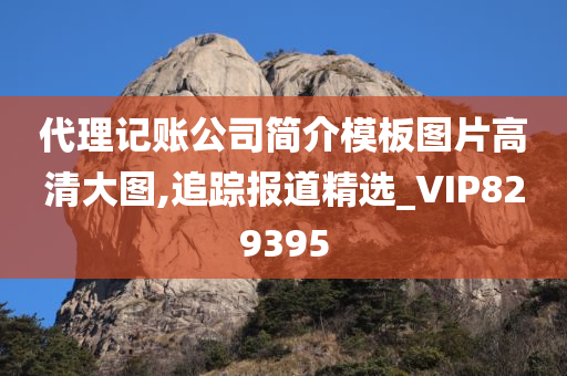 代理记账公司简介模板图片高清大图,追踪报道精选_VIP829395