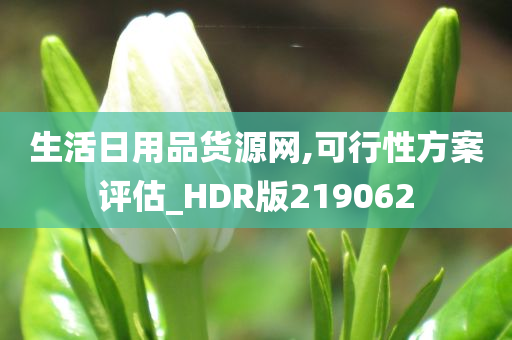 生活日用品货源网,可行性方案评估_HDR版219062