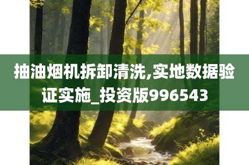 抽油烟机拆卸清洗,实地数据验证实施_投资版996543