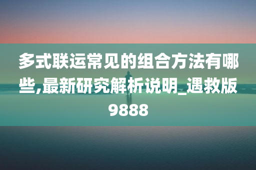 多式联运常见的组合方法有哪些,最新研究解析说明_遇救版9888