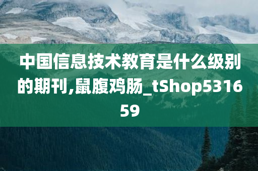 中国信息技术教育是什么级别的期刊,鼠腹鸡肠_tShop531659