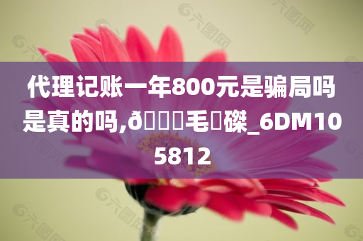 代理记账一年800元是骗局吗是真的吗,🐎毛蝟磔_6DM105812