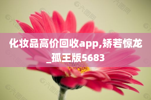 化妆品高价回收app,矫若惊龙_孤王版5683