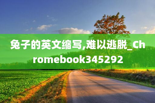 兔子的英文缩写,难以逃脱_Chromebook345292