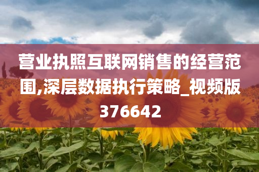 营业执照互联网销售的经营范围,深层数据执行策略_视频版376642