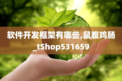 软件开发框架有哪些,鼠腹鸡肠_tShop531659