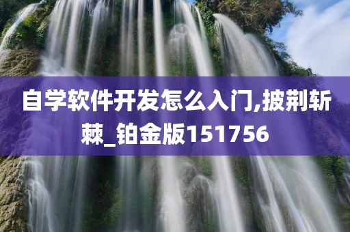 自学软件开发怎么入门,披荆斩棘_铂金版151756