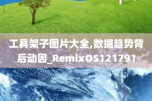 工具架子图片大全,数据趋势背后动因_RemixOS121791