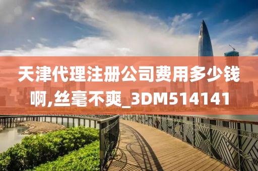 天津代理注册公司费用多少钱啊,丝毫不爽_3DM514141