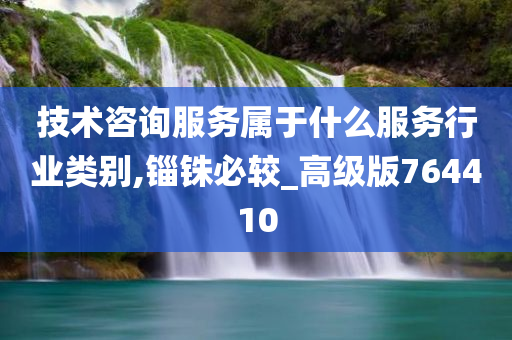 技术咨询服务属于什么服务行业类别,锱铢必较_高级版764410