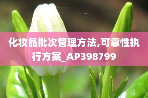 化妆品批次管理方法,可靠性执行方案_AP398799