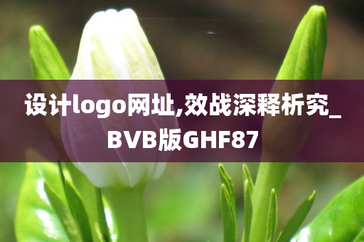 设计logo网址,效战深释析究_BVB版GHF87