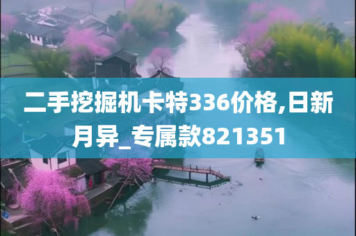 二手挖掘机卡特336价格,日新月异_专属款821351